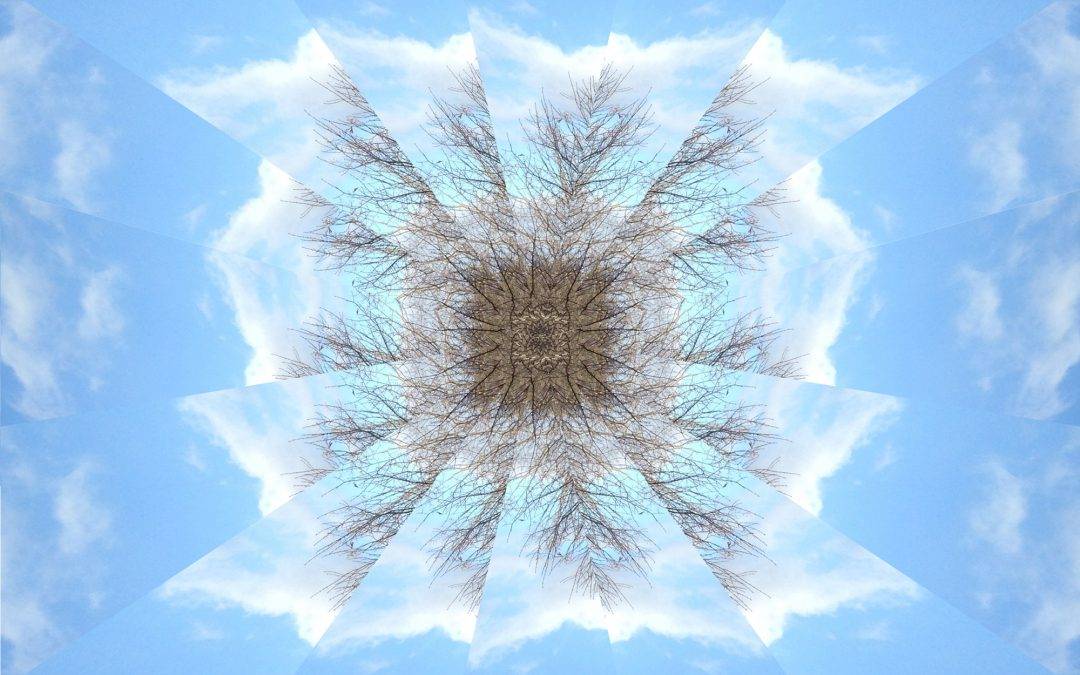 Alette Simmons-Jimenez